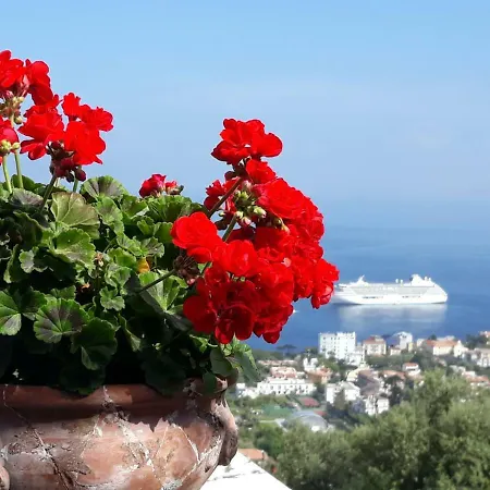 Bed & Breakfast Le Muse Sorrento