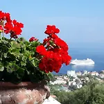 Bed & Breakfast Le Muse Sorrento