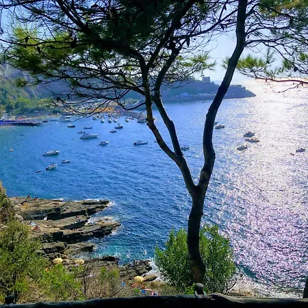 Bed & Breakfast Le Muse Sorrento